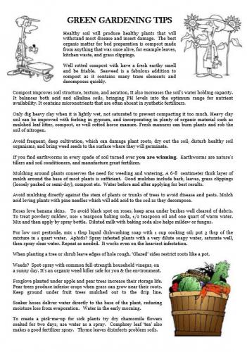 Green Gardening Tips