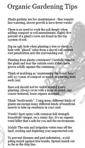 Organic Gardening